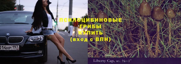 прущая мука Абаза